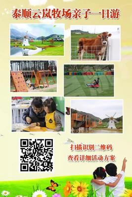 泰顺云岚牧场亲子活动   电话13758880795